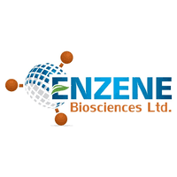 enzene